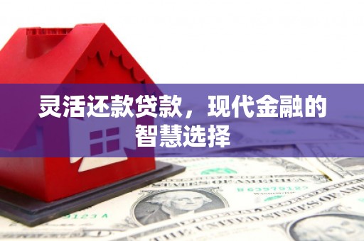 巧家灵活还款贷款，现代金融的智慧选择