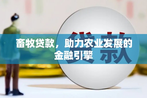 巧家畜牧贷款，助力农业发展的金融引擎