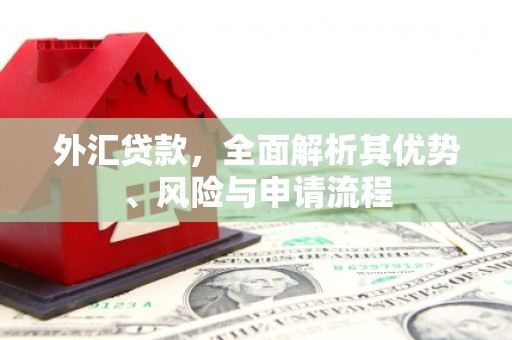 巧家外汇贷款，全面解析其优势、风险与申请流程