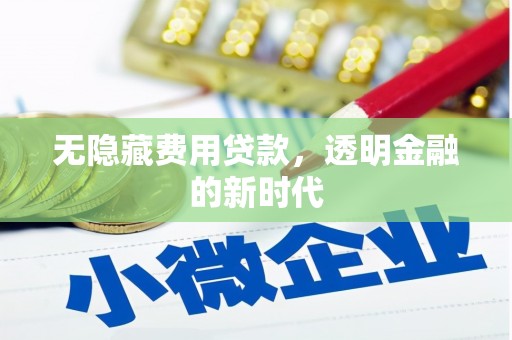 巧家无隐藏费用贷款，透明金融的新时代