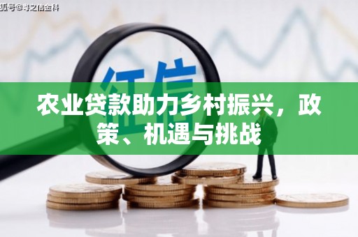 巧家农业贷款助力乡村振兴，政策、机遇与挑战
