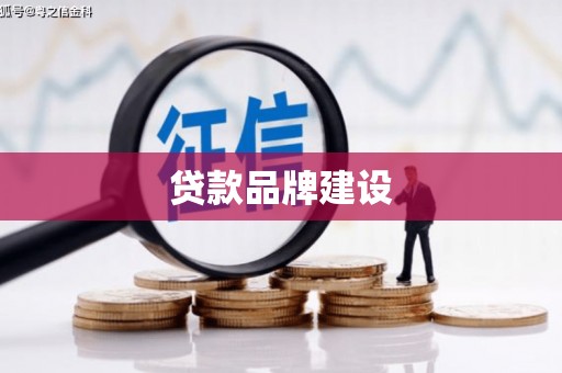 巧家贷款品牌建设
