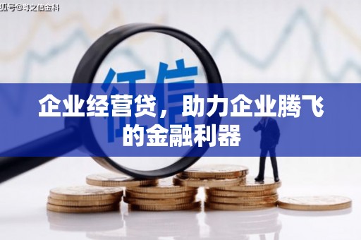巧家企业经营贷，助力企业腾飞的金融利器
