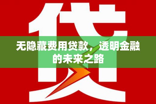 巧家无隐藏费用贷款，透明金融的未来之路