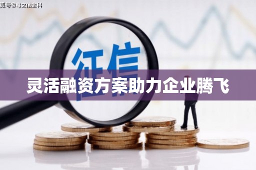 巧家灵活融资方案助力企业腾飞