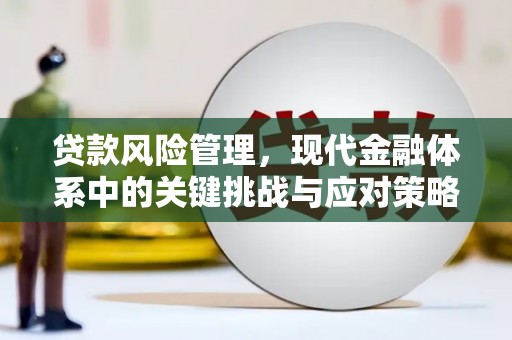 巧家贷款风险管理，现代金融体系中的关键挑战与应对策略