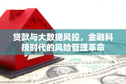 巧家贷款与大数据风控，金融科技时代的风险管理革命