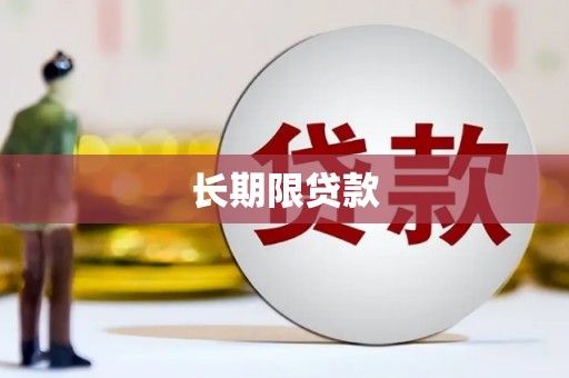 巧家长期限贷款