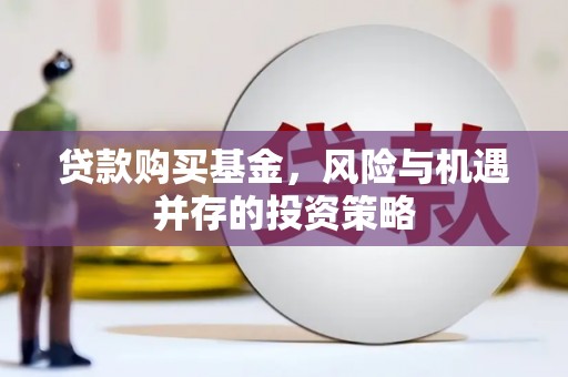 巧家贷款购买基金，风险与机遇并存的投资策略