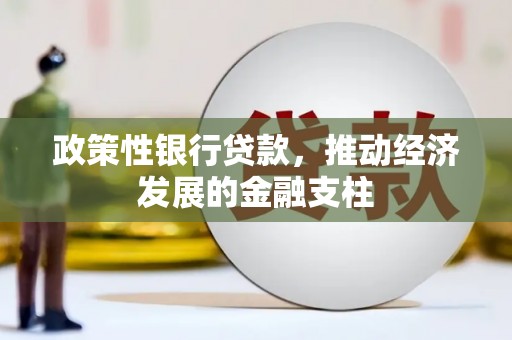 巧家政策性银行贷款，推动经济发展的金融支柱