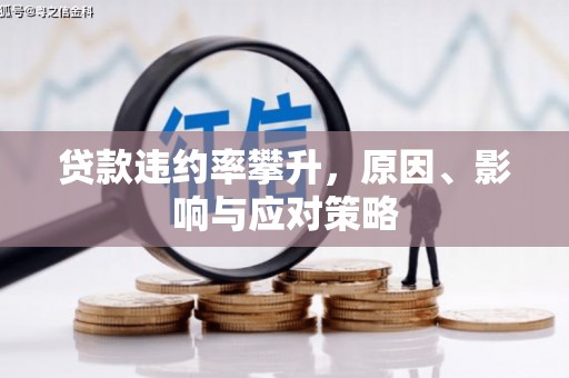 巧家贷款违约率攀升，原因、影响与应对策略