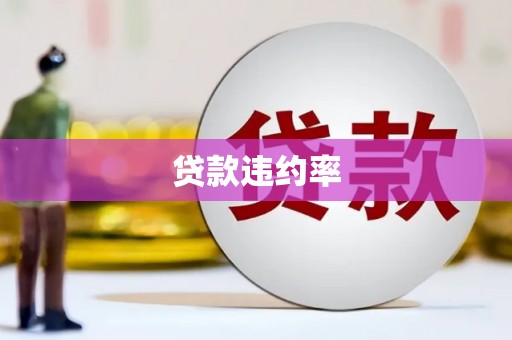 巧家贷款违约率