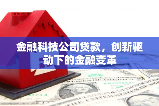 巧家金融科技公司贷款，创新驱动下的金融变革