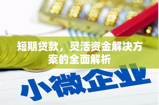 巧家短期贷款，灵活资金解决方案的全面解析