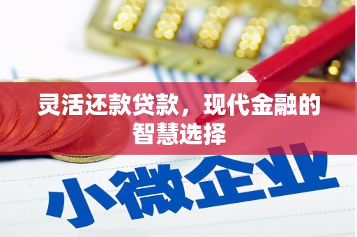 巧家灵活还款贷款，现代金融的智慧选择
