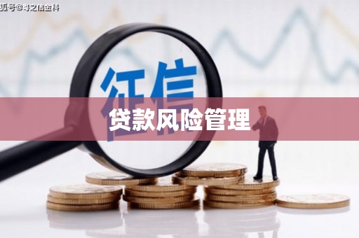 巧家贷款风险管理