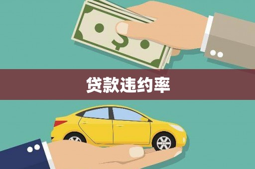 巧家贷款违约率