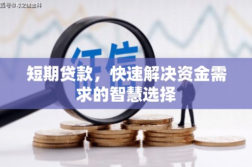 巧家短期贷款，快速解决资金需求的智慧选择