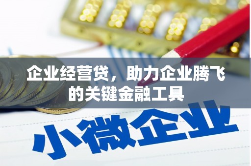 巧家企业经营贷，助力企业腾飞的关键金融工具