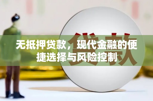 巧家无抵押贷款，现代金融的便捷选择与风险控制
