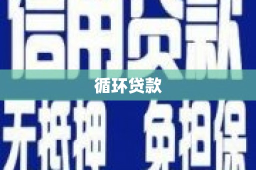 巧家循环贷款