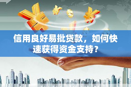 巧家信用良好易批贷款，如何快速获得资金支持？