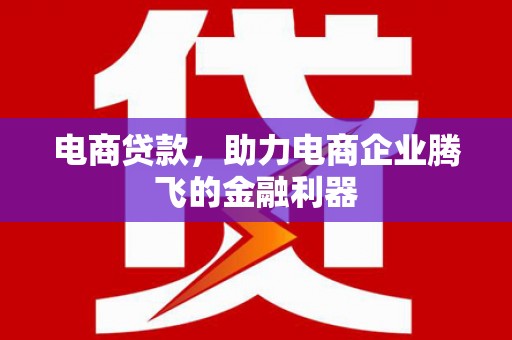 巧家电商贷款，助力电商企业腾飞的金融利器