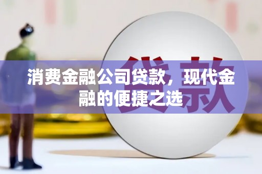 巧家消费金融公司贷款，现代金融的便捷之选
