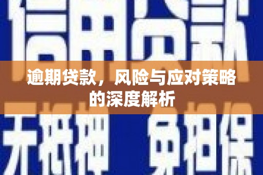 巧家逾期贷款，风险与应对策略的深度解析