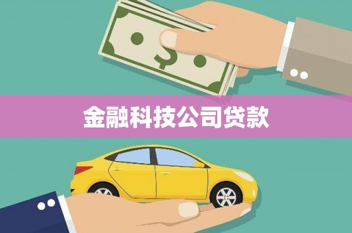 巧家金融科技公司贷款