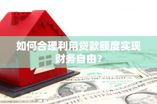 巧家如何合理利用贷款额度实现财务自由？