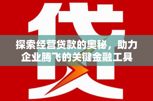 巧家探索经营贷款的奥秘，助力企业腾飞的关键金融工具