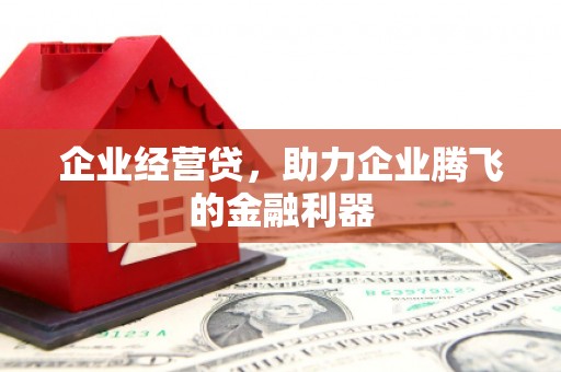 巧家企业经营贷，助力企业腾飞的金融利器