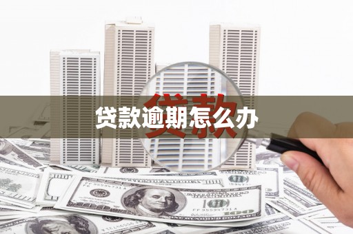 巧家贷款逾期怎么办