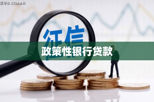 巧家政策性银行贷款