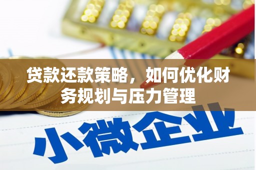 巧家贷款还款策略，如何优化财务规划与压力管理