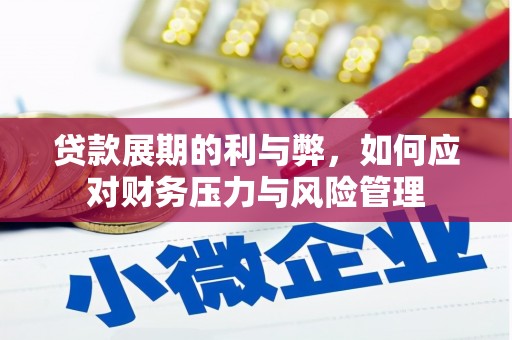 巧家贷款展期的利与弊，如何应对财务压力与风险管理