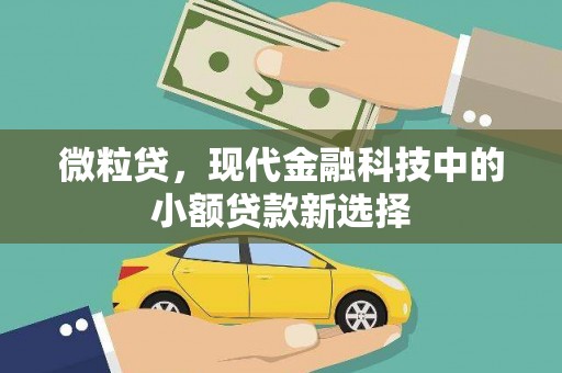 巧家微粒贷，现代金融科技中的小额贷款新选择