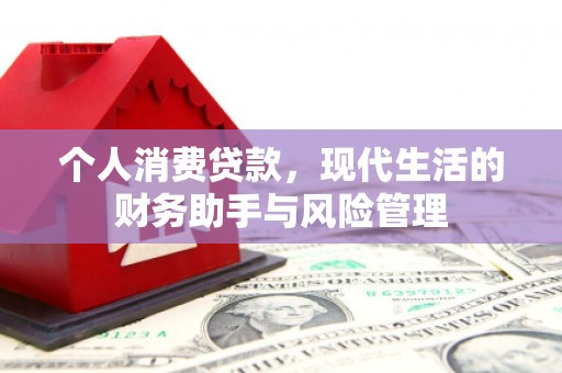 巧家个人消费贷款，现代生活的财务助手与风险管理