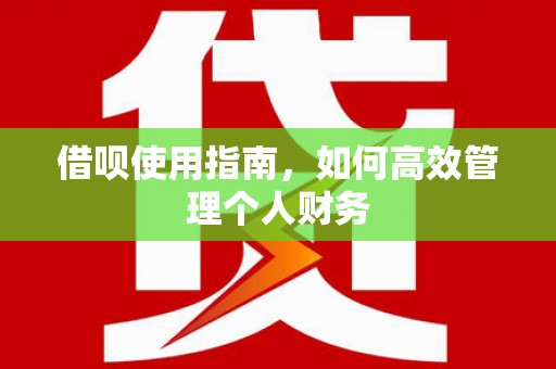 巧家借呗使用指南，如何高效管理个人财务