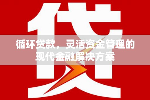 巧家循环贷款，灵活资金管理的现代金融解决方案