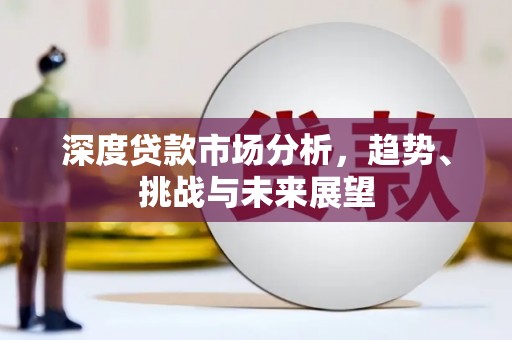 巧家深度贷款市场分析，趋势、挑战与未来展望