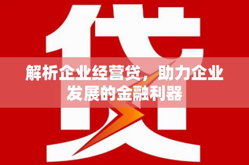 巧家解析企业经营贷，助力企业发展的金融利器