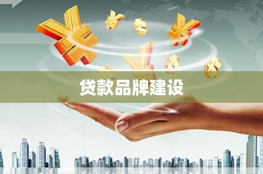 巧家贷款品牌建设