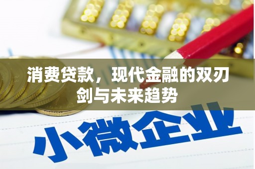 巧家消费贷款，现代金融的双刃剑与未来趋势