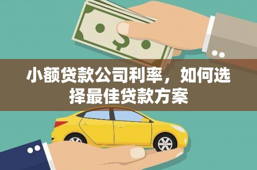 巧家小额贷款公司利率，如何选择最佳贷款方案
