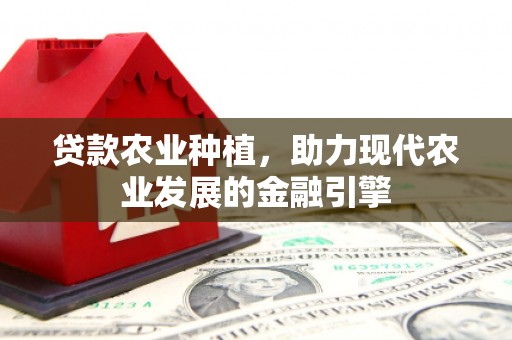 巧家贷款农业种植，助力现代农业发展的金融引擎