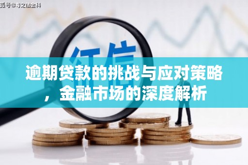 巧家逾期贷款的挑战与应对策略，金融市场的深度解析
