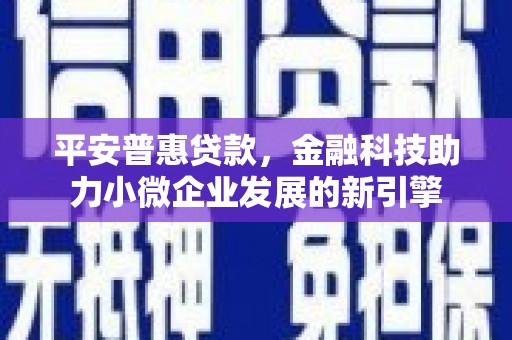 巧家平安普惠贷款，金融科技助力小微企业发展的新引擎