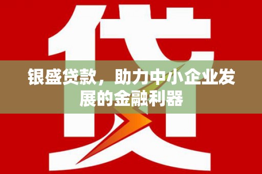 巧家银盛贷款，助力中小企业发展的金融利器